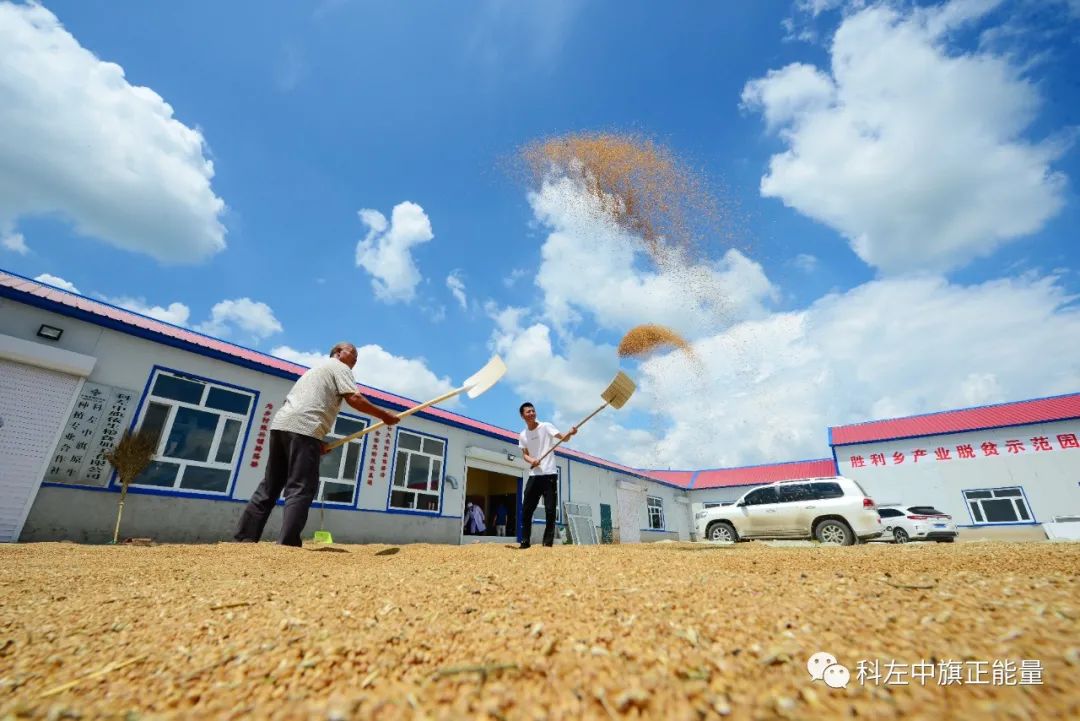 科左中旗胜利乡谢家窑村(血麦)被认定为全国"一村一品