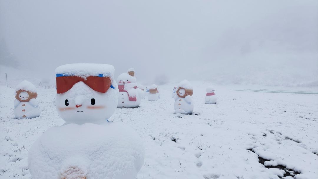 雪04雪04雪04雪04雪04来了你想与谁赏