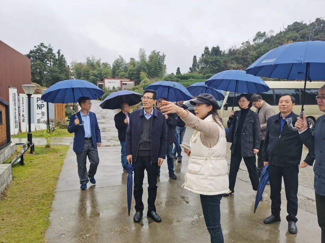 澎湃号>浙江民革> 平阳县水头镇新联村是省委会根据省委统战部少数