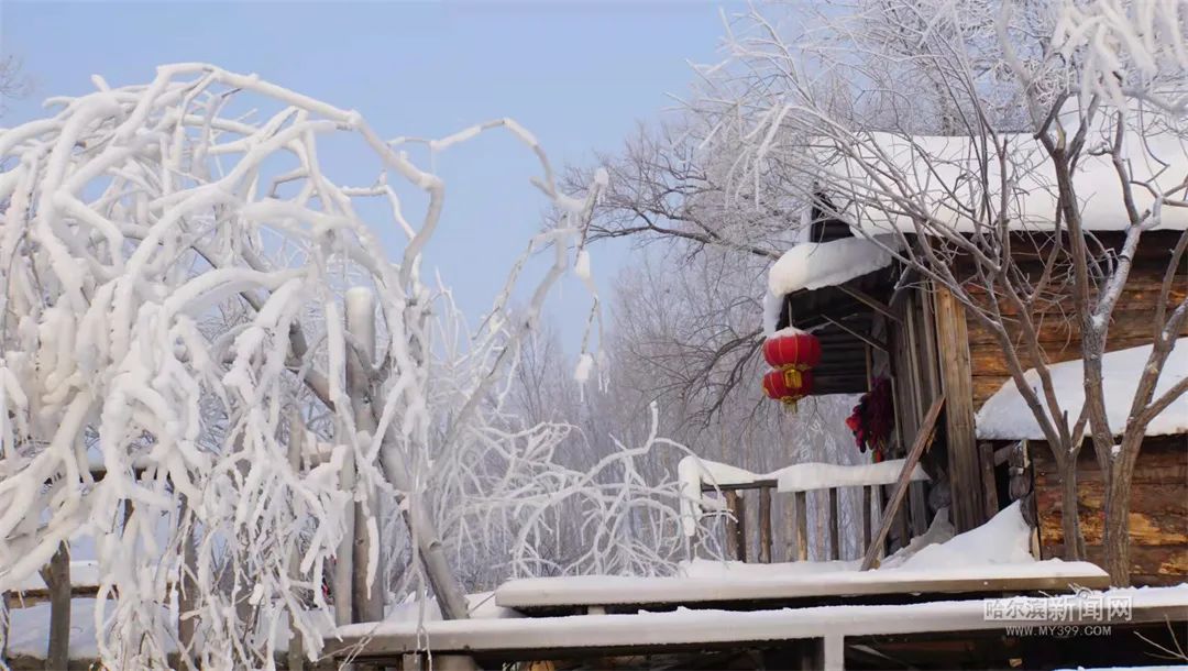 21日夜间到22日哈尔滨东北部等地大暴雪丨哈市交警全力应对暴风雪