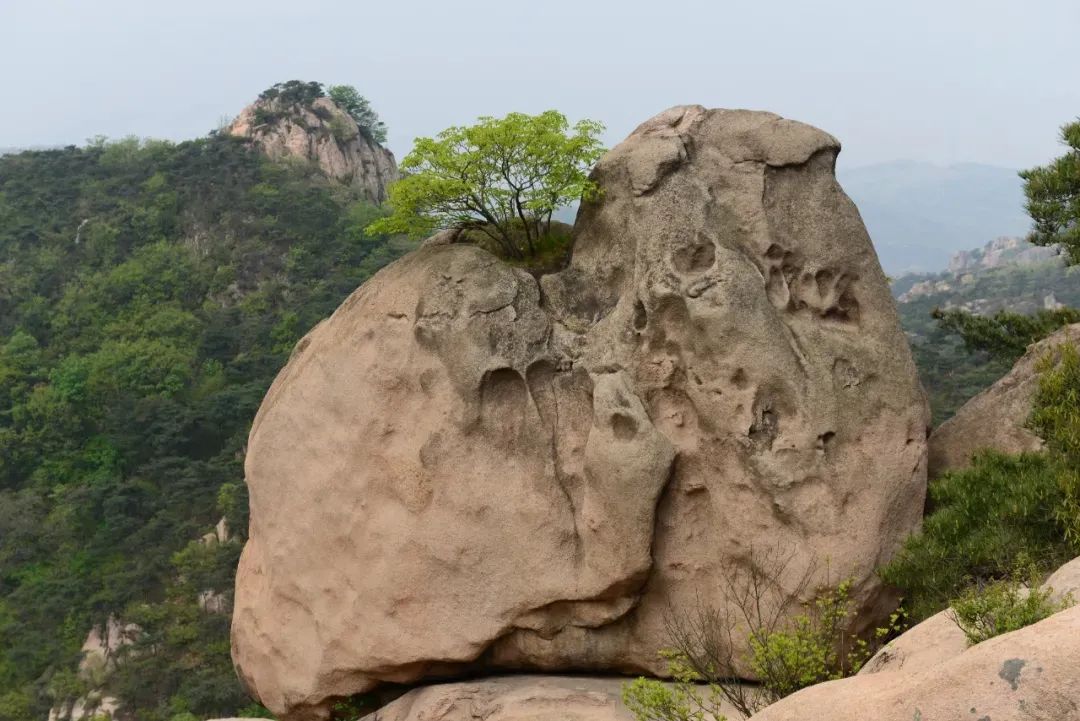 五莲山旅游风景区开园公告