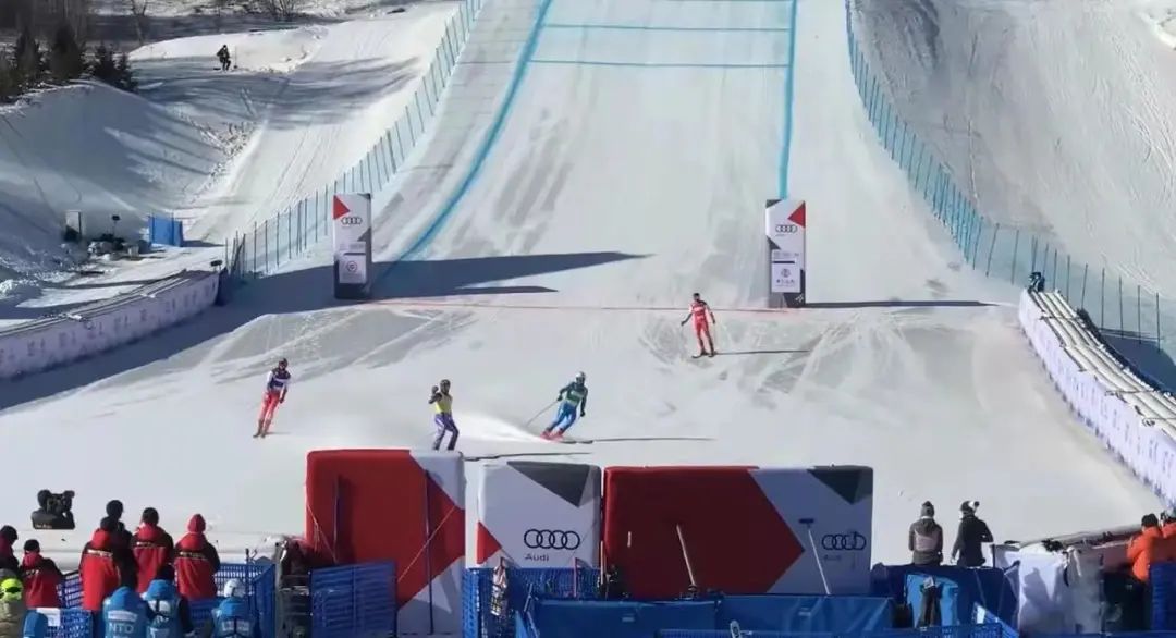 自由式滑雪男,女障碍追逐