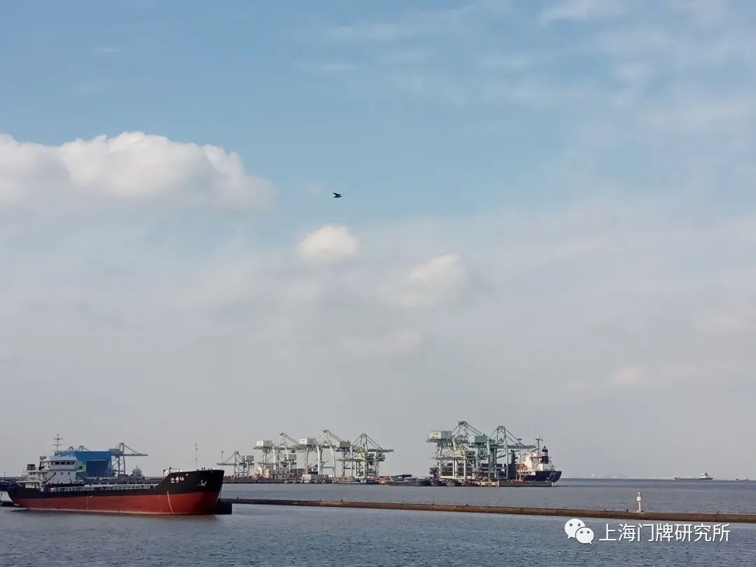 水鸟从港池上空掠过(徐曾祯拍摄)上海因水而兴,依港而盛,宝山港区已然