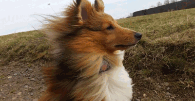 一周天气来了今天有67级大风明天本周最冷