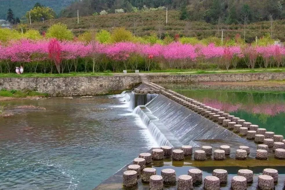 乡游黔中湄潭县新石社区│现代版桃花源实现你居于山水间的梦