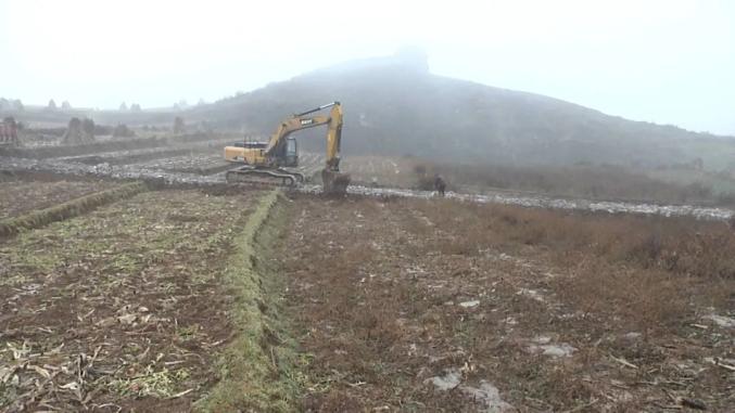 雪山镇高标准农田建设示范带动产业发展