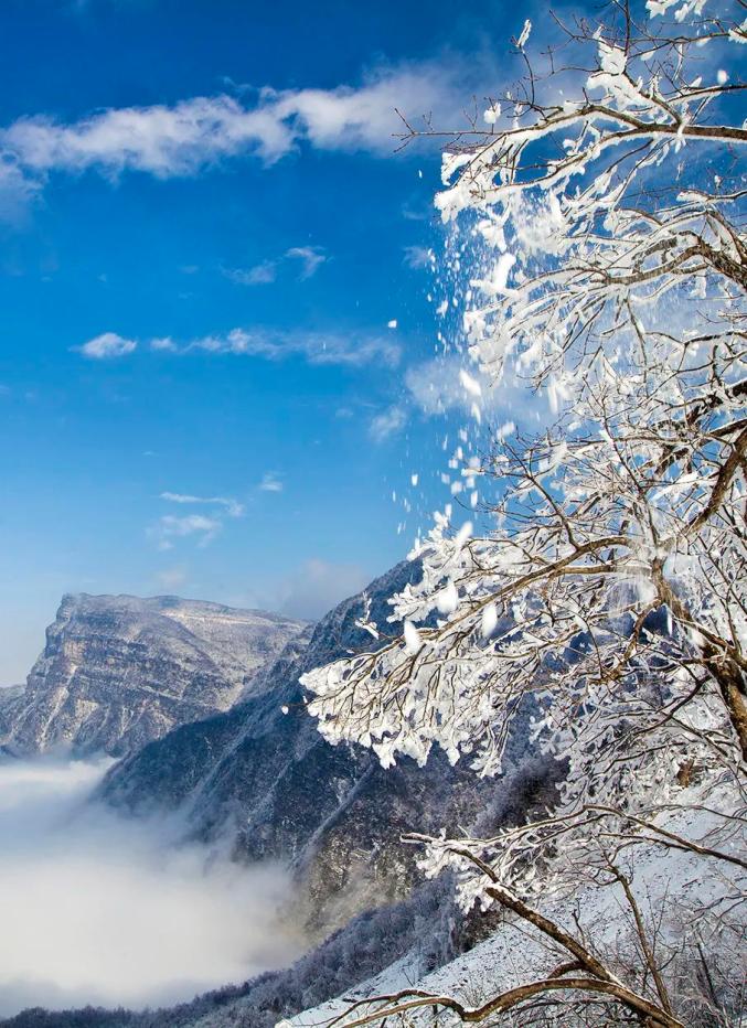 来巴中光雾山邂逅一场风花雪月