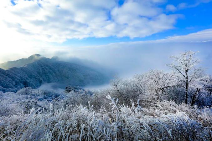 来巴中光雾山邂逅一场风花雪月