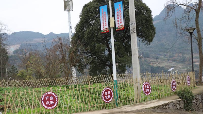 谷堡镇以及县直相关部门对索桥村红色美丽村庄建设项目推进情况进行