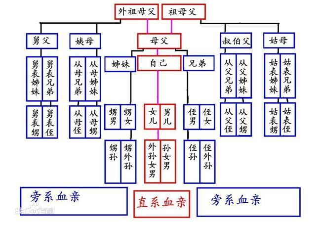 旁系血亲是相对直系血亲而言的,它指与自己具有间接血缘关系的亲属,即