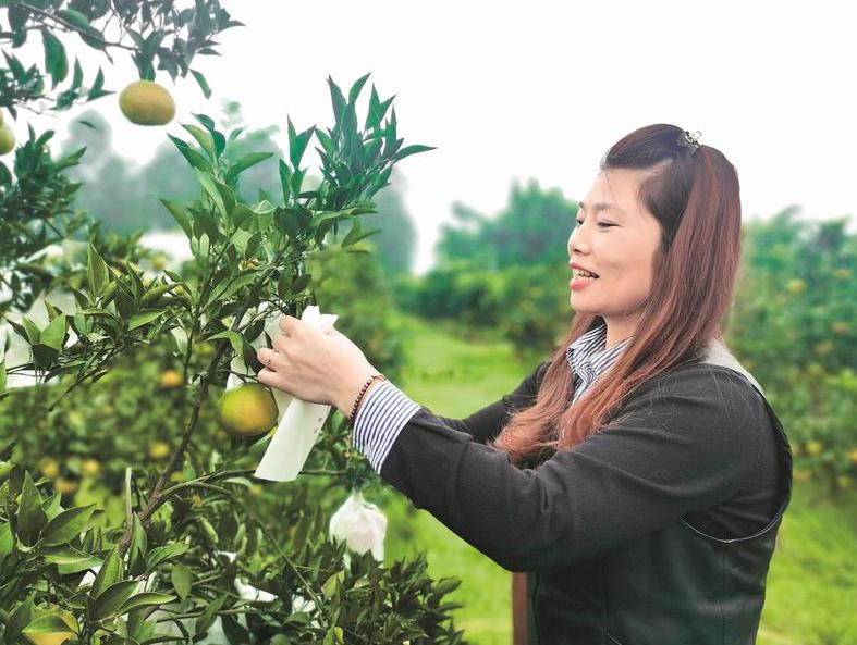 巾帼风采独腿女孩李利红用实干创业把自己的农业梦立起来