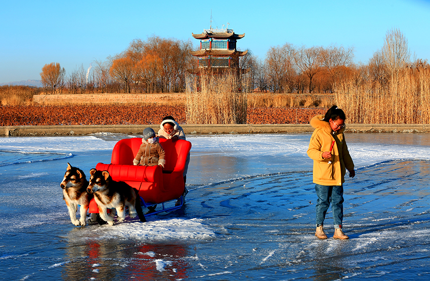 张掖湿地公园滑冰场滑冰戏雪