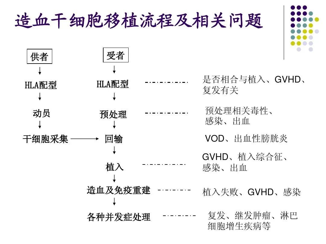 一文带你读懂什么是儿童造血干细胞移植