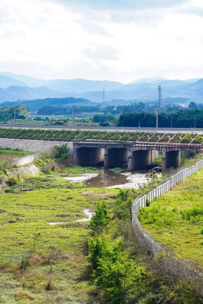 中老铁路这么火沿途的美景藏不住了