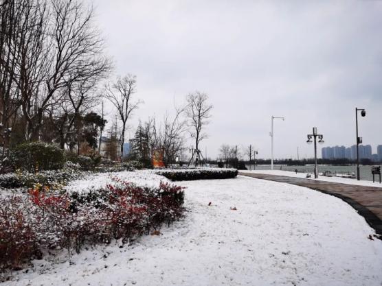 下雪了河南多地迎初雪郑州这里已变白高速部分路段限行