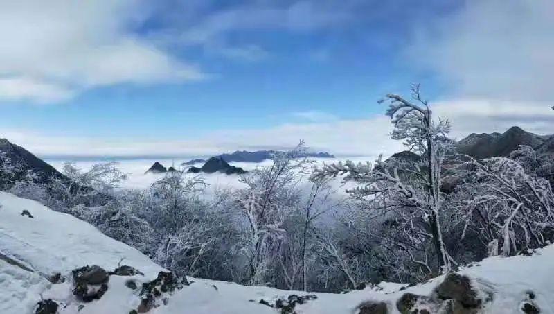 重庆下雪了坐标