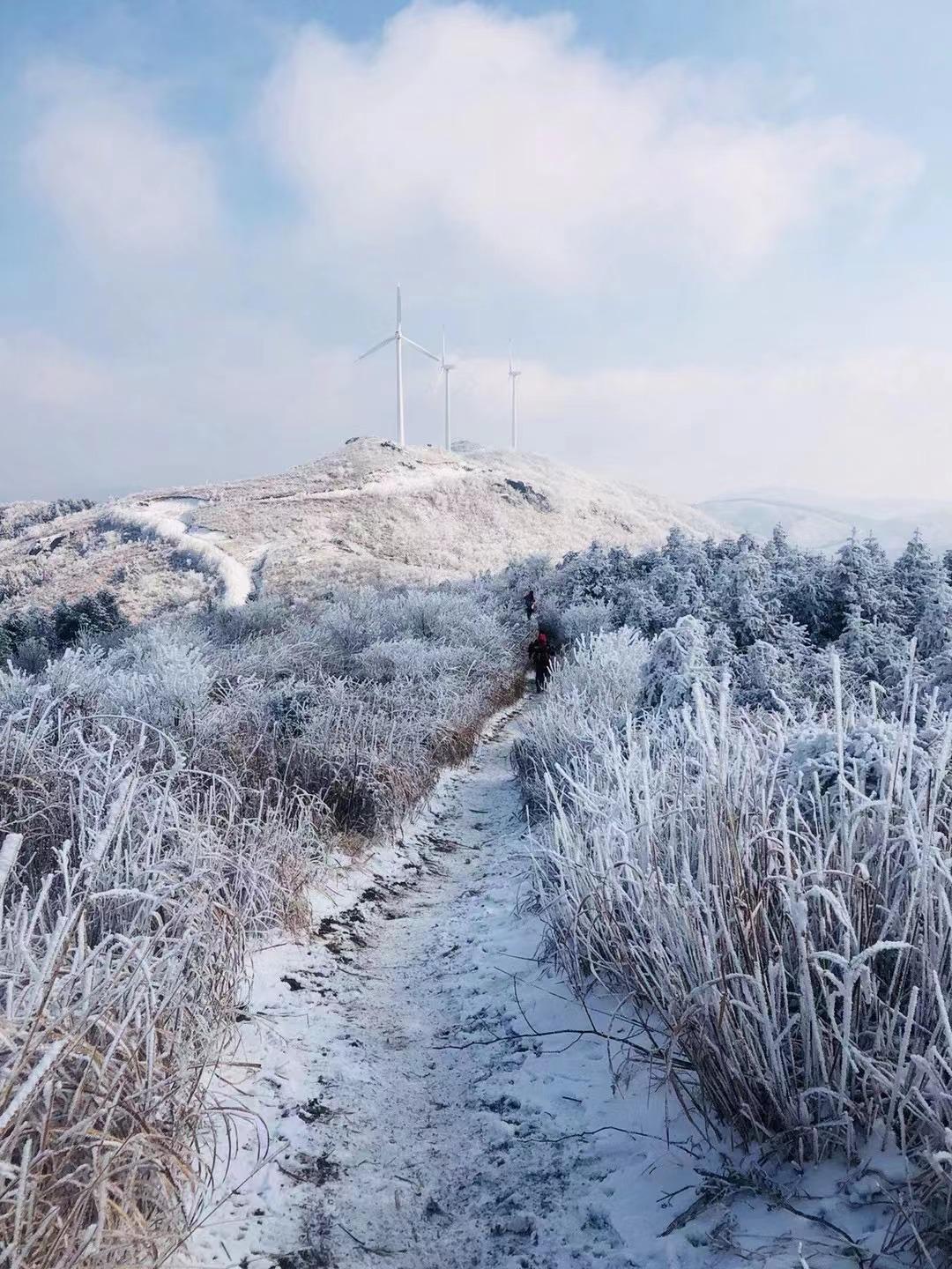 ▼▼▼(图片来源朋友圈)东白山雪景美到"犯规"大家做好准备哦!