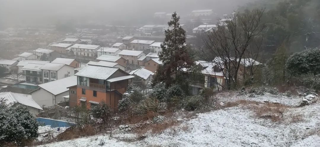 摄余杭区鸬鸟镇鸬鸟山萧山区金城路飘雪 视频:范方斌瑶山乡天坪村雪景