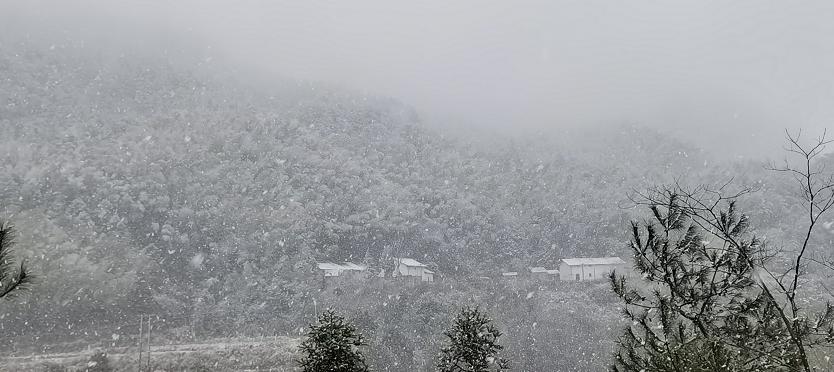 杭州下雪啦雪景来了未来气温将跌破0