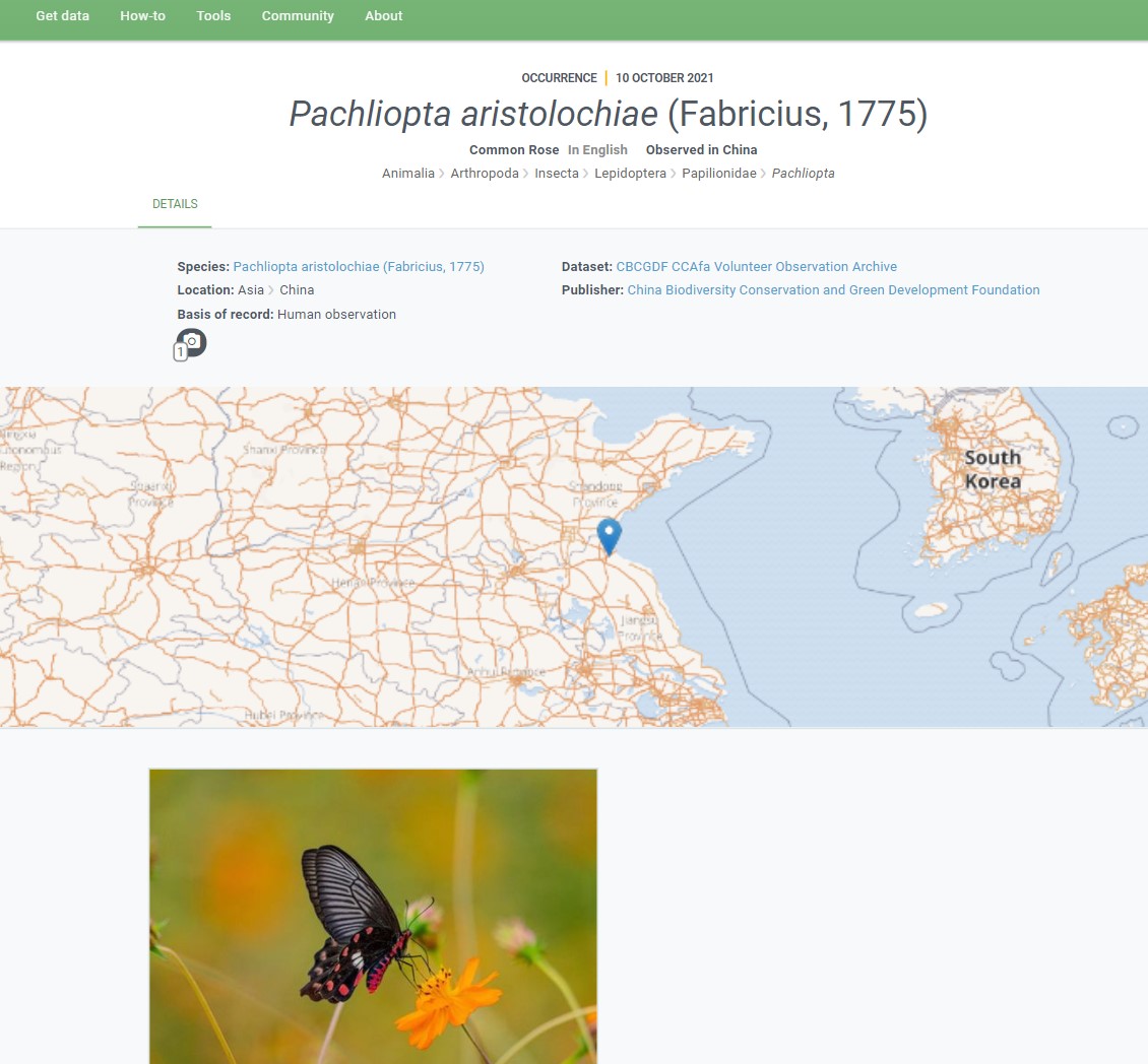 连云港红珠凤蝶数据成功上传全球生物多样性信息平台gbif