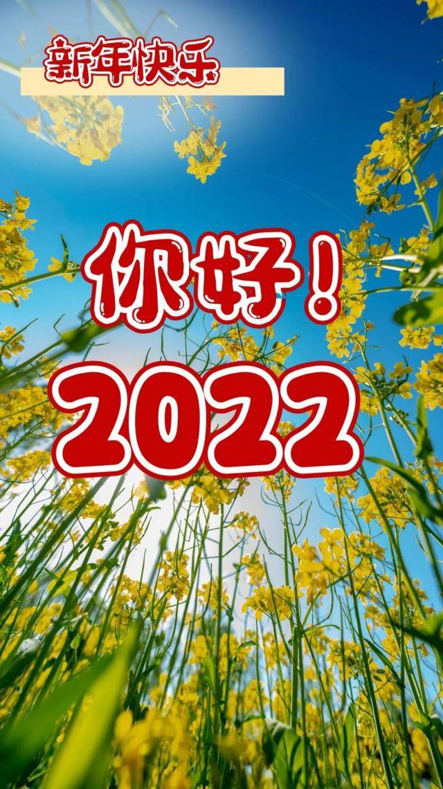 你好2022