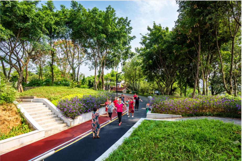 发布会轨道交通山城步道绿地提质公厕建设这本民生账簿看过来