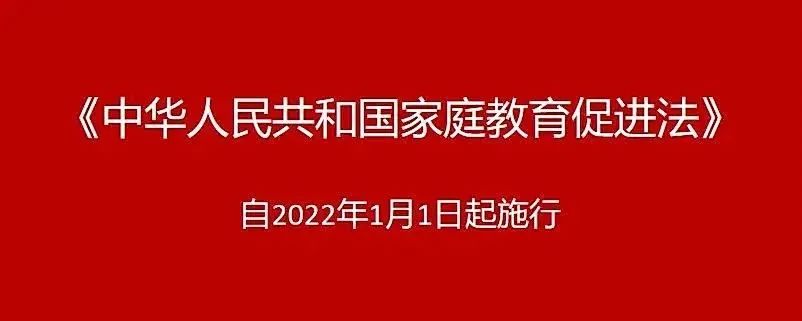 家庭教育家庭教育促进法妇联带您一起学三