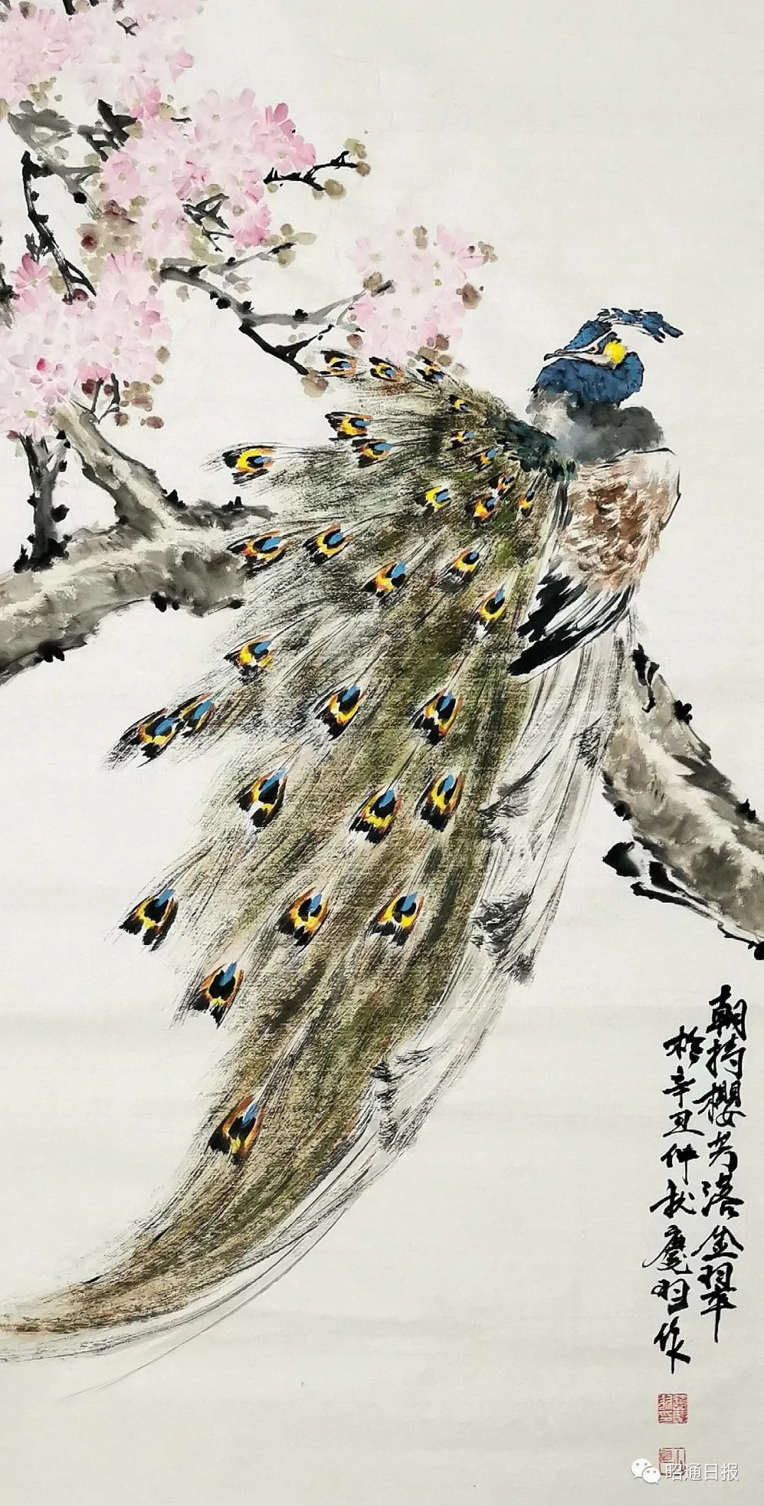 书画丨赵庆羽花鸟画作品选十九幅