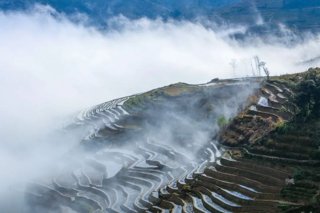 绝美快来一睹颜值巅峰的哈尼梯田