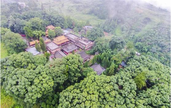 生态云峰山中国最美桢楠林