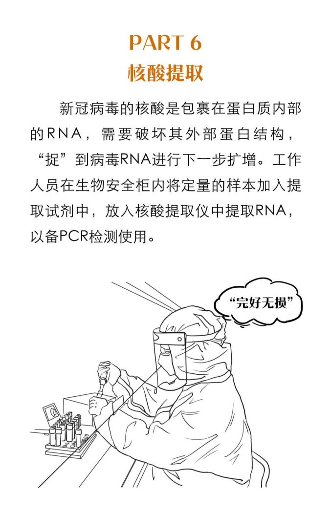 核酸检测为什么不能马上出结果别急检测流程及我市24小时核酸检测医疗