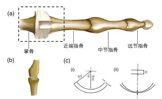 那些经常掰手指的人后来怎么样了