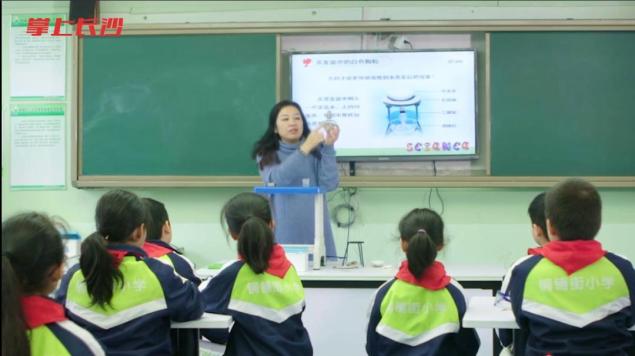 铜铺街小学的这对石狮,则一直默默地在校园内陪伴,守护着孩子们.