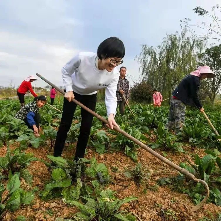 喜报我区一名创业女性入选全国巾帼新农人创业典型案例