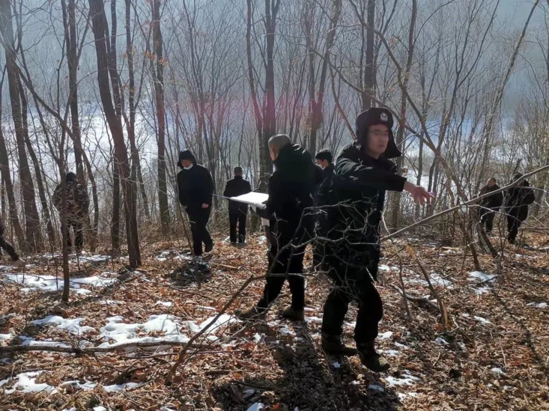 桦甸市公安局森林警察大队成功侦破一起涉林案件