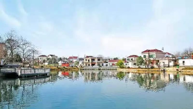 点赞我市义安区荣获2021年全国村庄清洁行动先进县称号