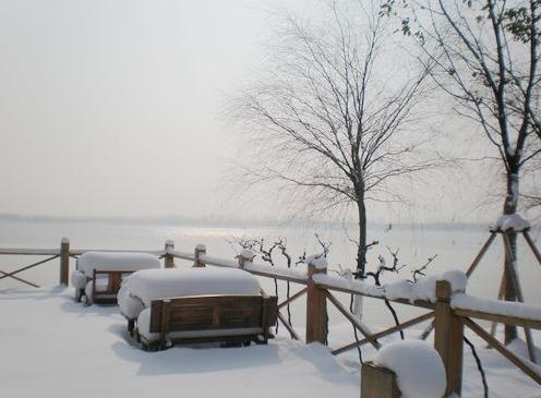 昨晚崇明下雪了吗