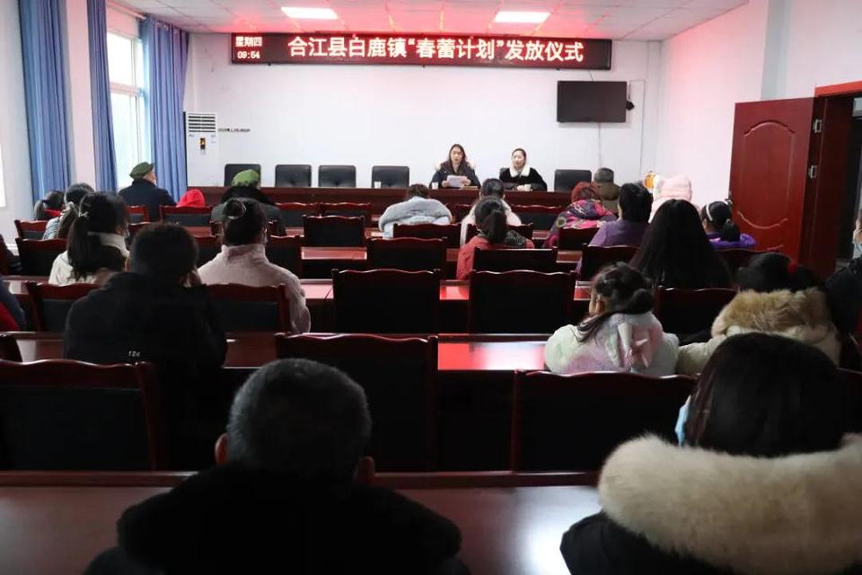 合江县妇联春蕾计划发放仪式精彩回顾