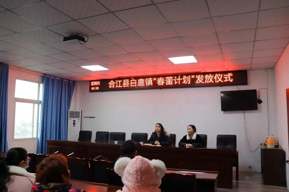 合江县妇联春蕾计划发放仪式精彩回顾