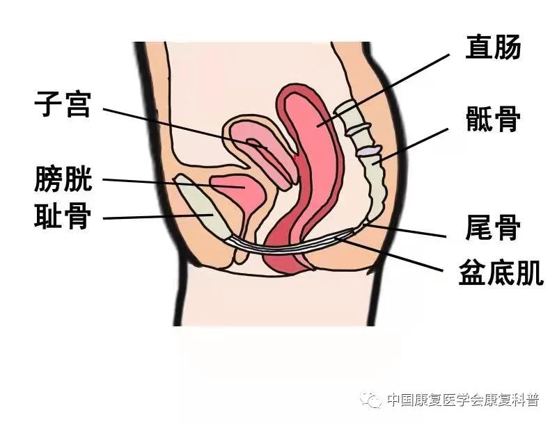 康复帮您化解产后不能言说的尴尬