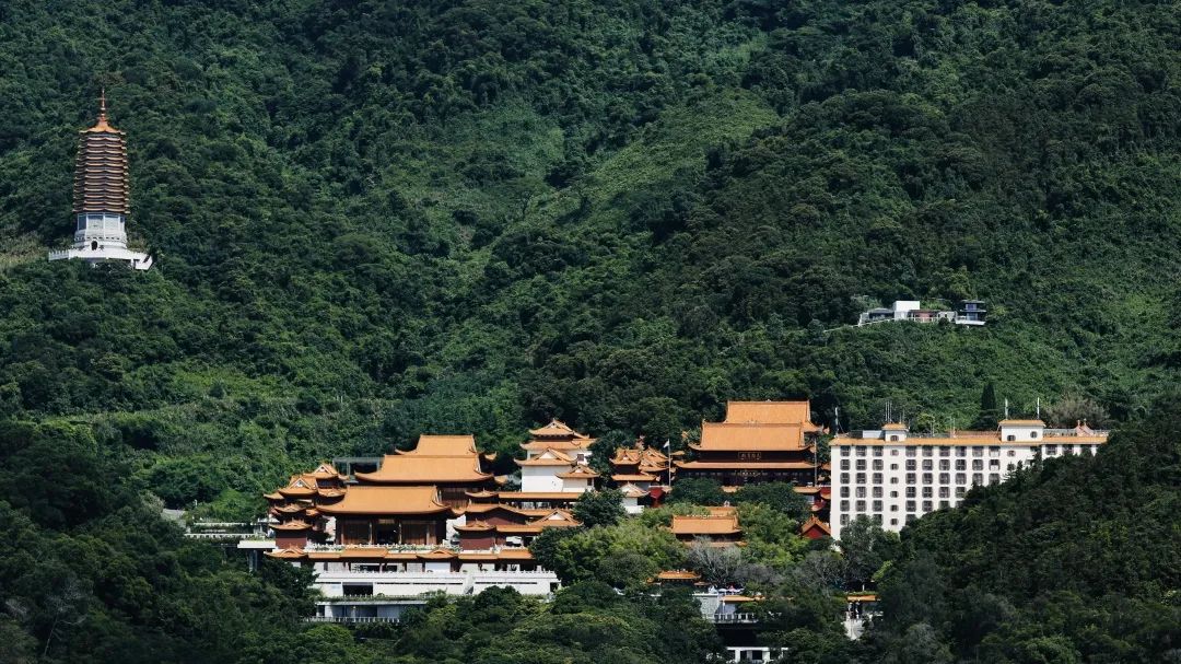 关于深圳弘法寺取消春节期间恢复开放的通告