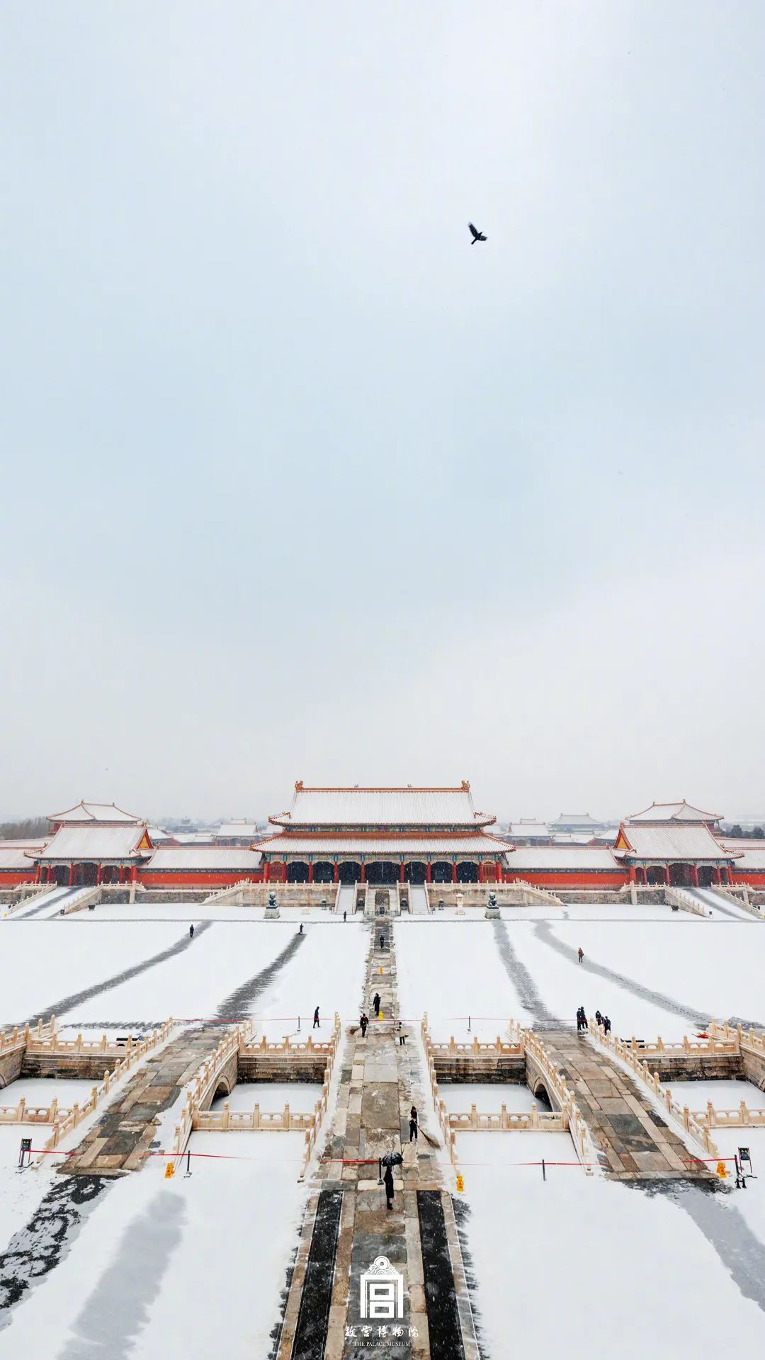 虎年初雪故宫绝美雪景上新了