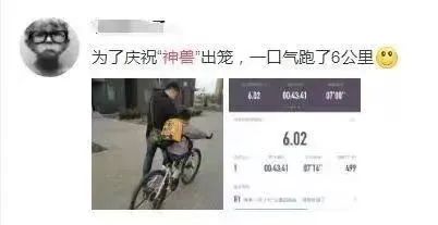 神兽归巢你家的亲子关系还好吗