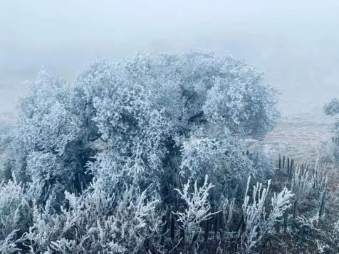 雪景雾凇赣州颜值爆表