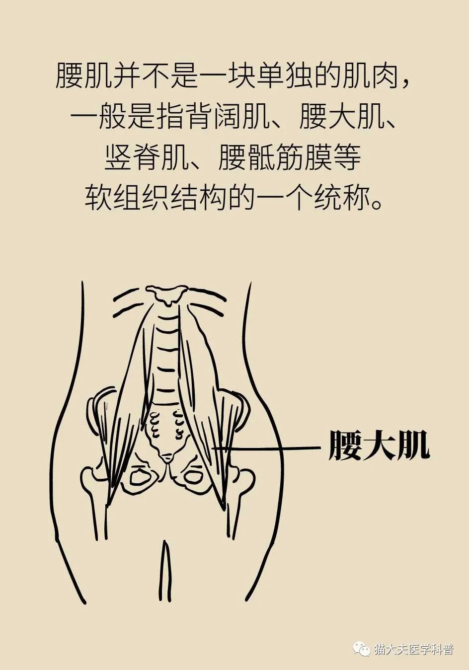 一样都是腰疼如何分辨腰肌劳损和腰间盘突出