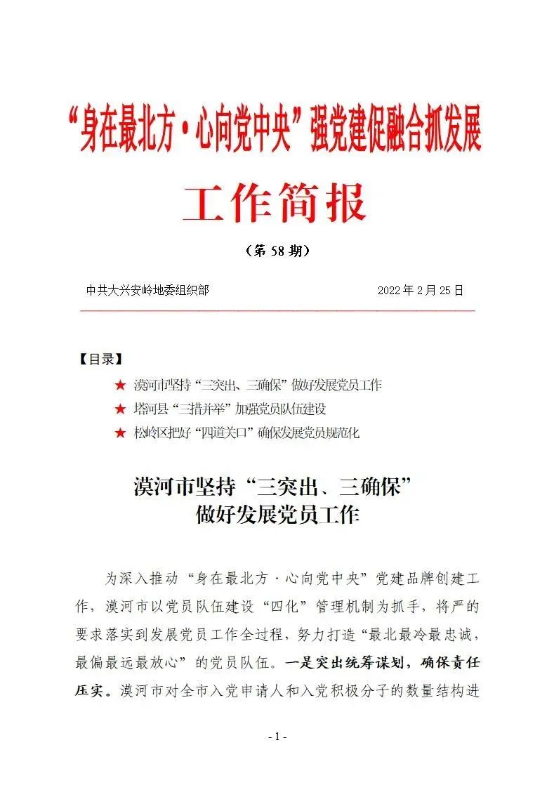 身在最北方心向党中央身在最北方心向党中央党建品牌创建工作简报