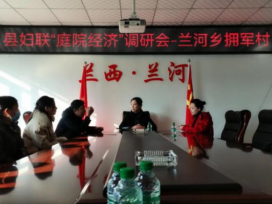 基层动态兰西县妇联深入平山镇北安乡兰河乡开展调研座谈会