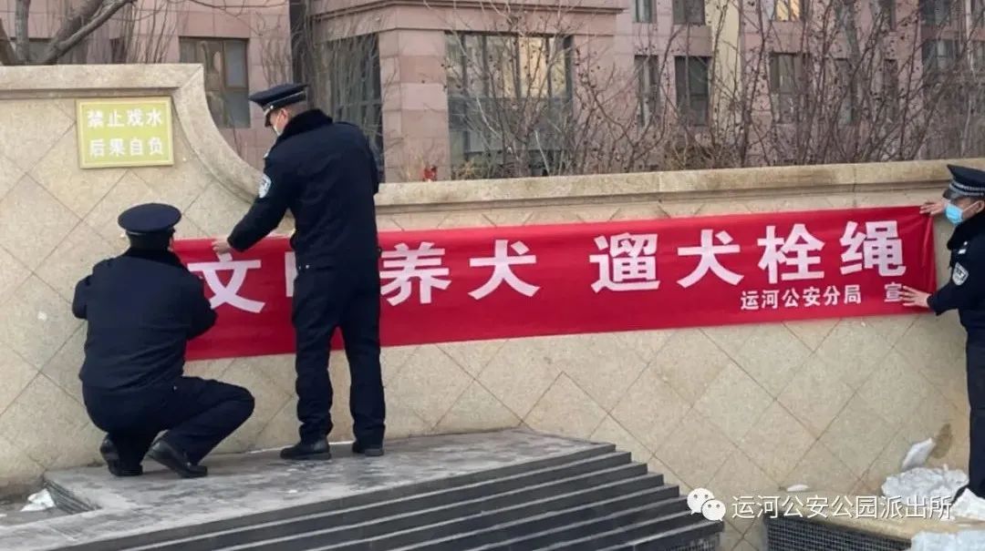 创城进行时公园派出所强化宣传引导推进文明养犬工作实效