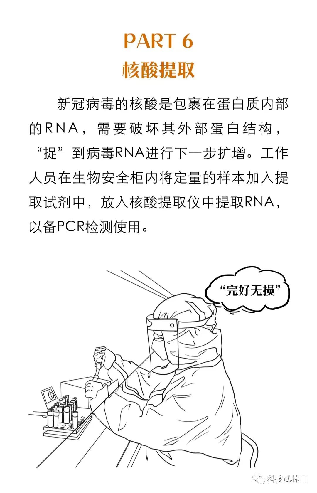 科学战疫丨核酸检测为什么不能马上出结果