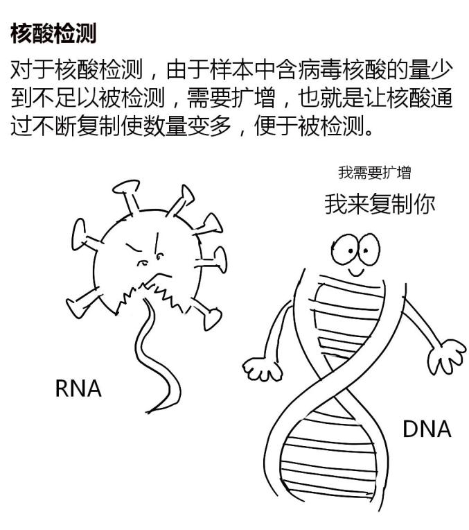 抗原检测核酸检测抗体检测分不清快看这